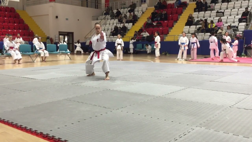 Türkiye'nin Gururu Asiye Irmak Karate Arenasında Üçüncülüğü Kucakladı!